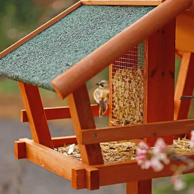 lionto Vogelhaus mit Futtersilo