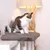 lionto Fensterliege für Katzen aus Plüsch, Montage ohne Bohren lionto Fensterliege für Katzen aus Plüsch, Montage ohne Bohren