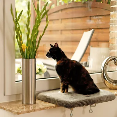lionto Fensterliege für Katzen aus Plüsch, Montage ohne Bohren lionto Fensterliege für Katzen aus Plüsch, Montage ohne Bohren