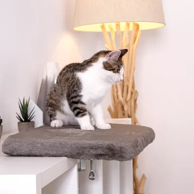 lionto lit de fenêtre pour chat en peluche, montage sans perçage