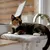 lionto Fensterliege für Katzen aus Plüsch, Montage ohne Bohren lionto Fensterliege für Katzen aus Plüsch, Montage ohne Bohren