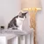 lionto Fensterliege für Katzen aus Plüsch, Montage ohne Bohren lionto Fensterliege für Katzen aus Plüsch, Montage ohne Bohren