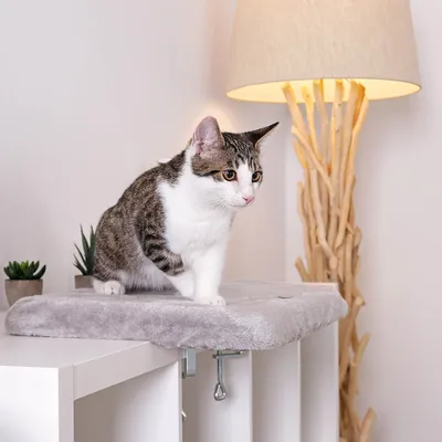 lionto lit de fenêtre pour chat en peluche, montage sans perçage