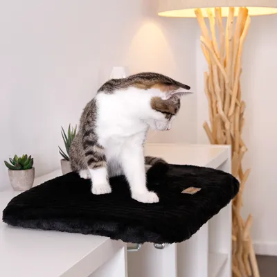 lionto Fensterliege für Katzen aus Plüsch, Montage ohne Bohren