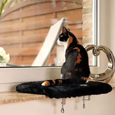 lionto Fensterliege für Katzen aus Plüsch, Montage ohne Bohren