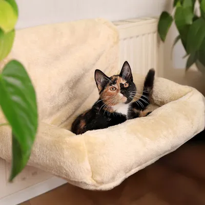 lionto Katzen-Heizkörperliege aus Plüsch zum Einhängen an den Heizkörper