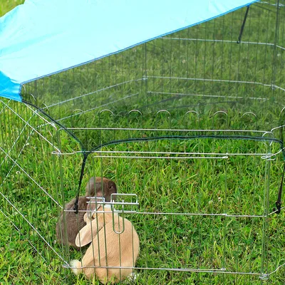 lionto enclos pour petits animaux, parc extérieur modulable en métal
