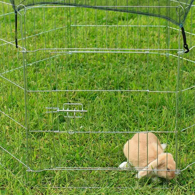 lionto enclos pour petits animaux, parc extérieur modulable en métal