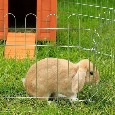 lionto enclos pour petits animaux, parc extérieur modulable en métal