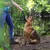 lionto collier pour chien en nylon robuste avec stoppeur de traction lionto collier pour chien en nylon robuste avec stoppeur de traction