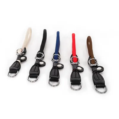 lionto collier pour chien en nylon robuste avec stoppeur de traction