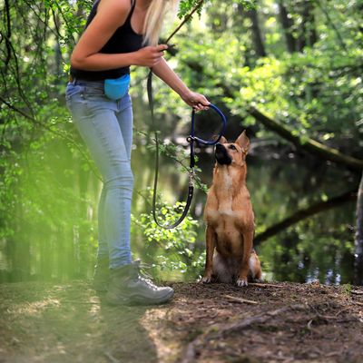 lionto Hundehalsband aus robustem Nylon mit Zugstopp
