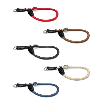 lionto collier pour chien en nylon robuste avec stoppeur de traction lionto collier pour chien en nylon robuste avec stoppeur de traction