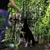 lionto collier pour chien en nylon robuste avec stoppeur de traction