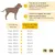 lionto collier pour chien en nylon robuste avec stoppeur de traction