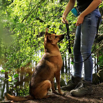 lionto Hundehalsband aus robustem Nylon mit Zugstopp