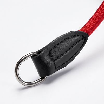 lionto Hundehalsband aus robustem Nylon mit Zugstopp