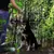 lionto collier pour chien en nylon robuste avec stoppeur de traction lionto collier pour chien en nylon robuste avec stoppeur de traction