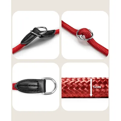 lionto collier pour chien en nylon robuste avec stoppeur de traction lionto collier pour chien en nylon robuste avec stoppeur de traction