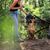 lionto collier pour chien en nylon robuste avec stoppeur de traction