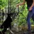 lionto collier pour chien en nylon robuste avec stoppeur de traction lionto collier pour chien en nylon robuste avec stoppeur de traction