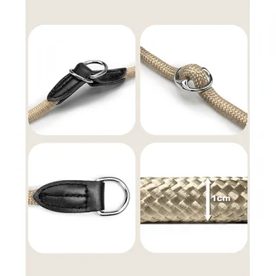 lionto collier pour chien en nylon robuste avec stoppeur de traction lionto collier pour chien en nylon robuste avec stoppeur de traction