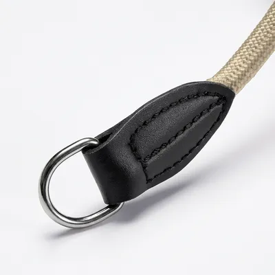 lionto collier pour chien en nylon robuste avec stoppeur de traction lionto collier pour chien en nylon robuste avec stoppeur de traction