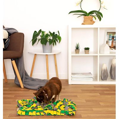 lionto Schnüffelmatte für Hunde, Anti-Stress und mentale Beschäftigung
