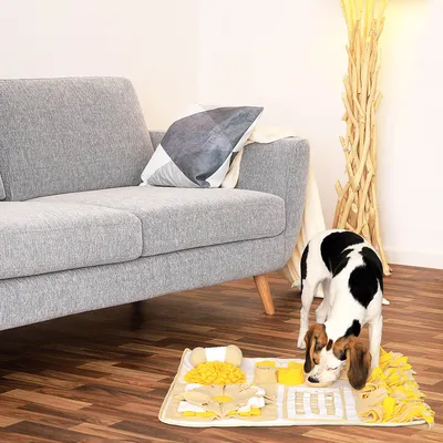 lionto tapis de fouille pour chien, anti-stress et stimulant mental