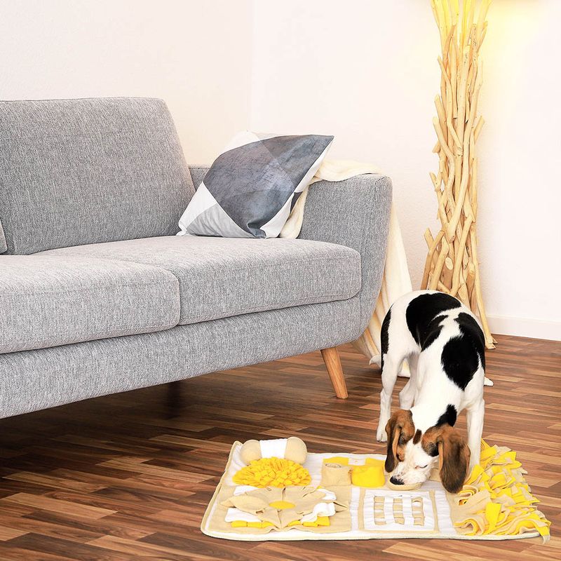 lionto tapis de fouille pour chien, anti-stress et stimulant mental