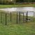 lionto enclos extérieur pour chiot, parc modulable en métal résistant