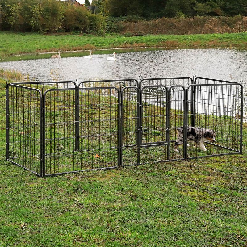 lionto enclos extérieur pour chiot, parc modulable en métal résistant