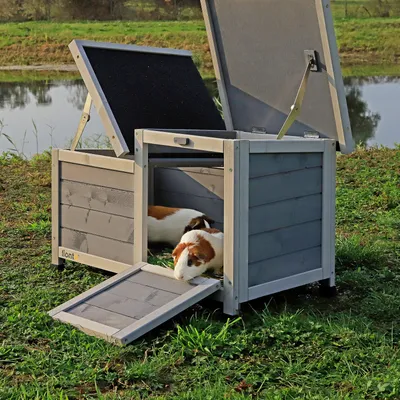 lionto clapier pliable extérieur intérieur bois toit bitumé résistant