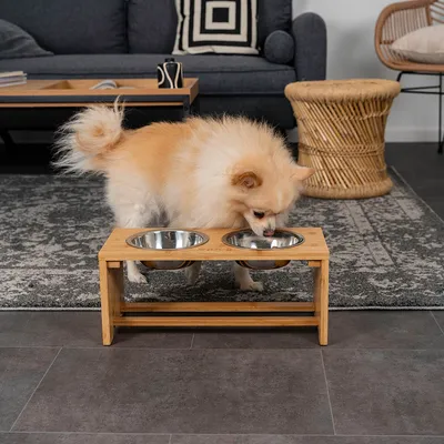 lionto gamelle chien surélevée en bambou avec 2 bols inox lavables