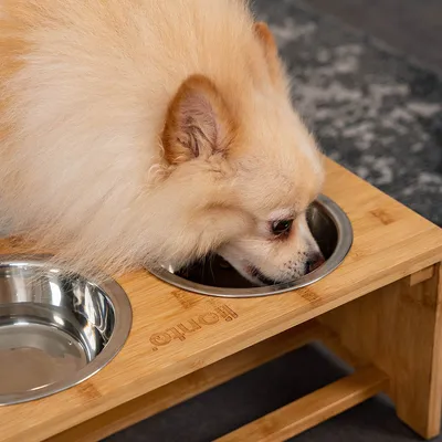 lionto gamelle chien surélevée en bambou avec 2 bols inox lavables