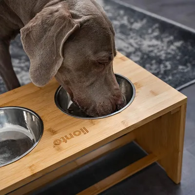 lionto gamelle chien surélevée en bambou avec 2 bols inox lavables