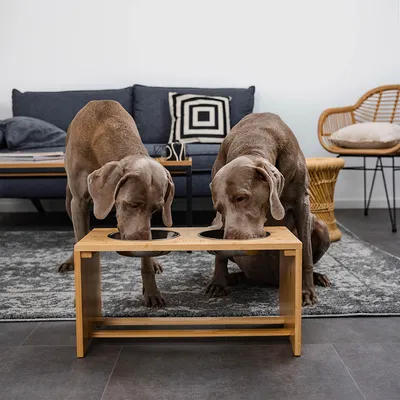 lionto gamelle chien surélevée en bambou avec 2 bols inox lavables