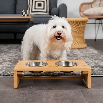 lionto gamelle chien surélevée en bambou avec 2 bols inox lavables