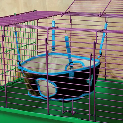 animallparadise - Lit de camp Paradise, taille ø 27  x 12 cm pour furet