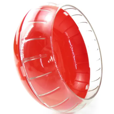1 Roue d'exercice silencieuse pour cage Rody3 . couleur . taille ø 14