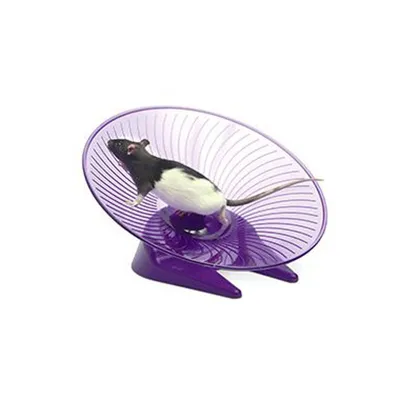 Flamingo - Disque d'exercice ø 30.5 cm pour rongeurs couleur aléatoire. Flamingo - Disque d'exercice ø 30.5 cm pour rongeurs couleur aléatoire.