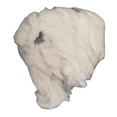 lit douillet Ouate blanche pour lit hamster 25 g rongeurs