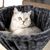 lionto hamac en peluche douce pour arbre à chat avec cadre métallique