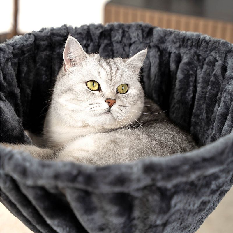 lionto hamac en peluche douce pour arbre à chat avec cadre métallique
