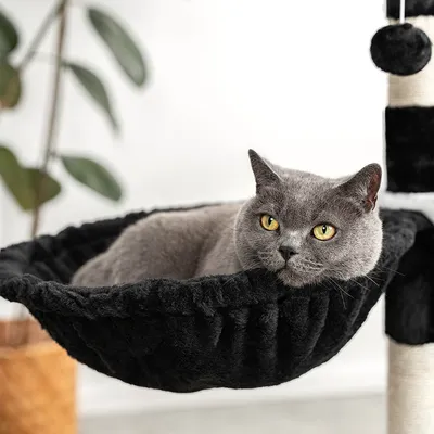 lionto hamac en peluche douce pour arbre à chat avec cadre métallique