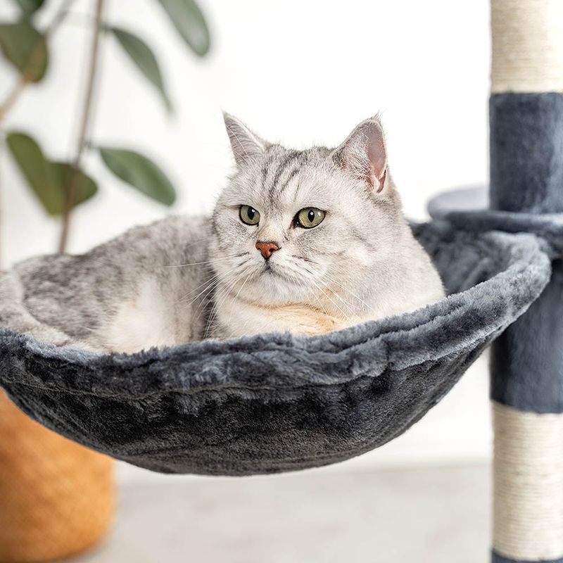 lionto hamac en peluche douce pour arbre à chat avec cadre métallique