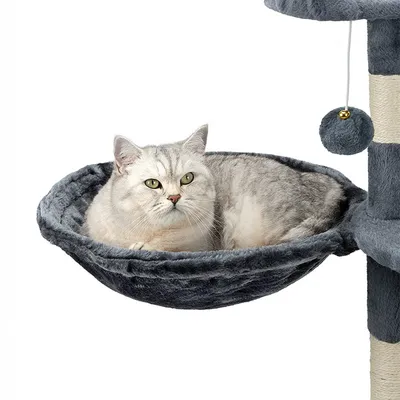 lionto hamac en peluche douce pour arbre à chat avec cadre métallique lionto hamac en peluche douce pour arbre à chat avec cadre métallique