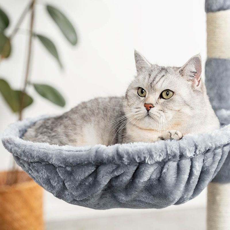 lionto hamac en peluche douce pour arbre à chat avec cadre métallique