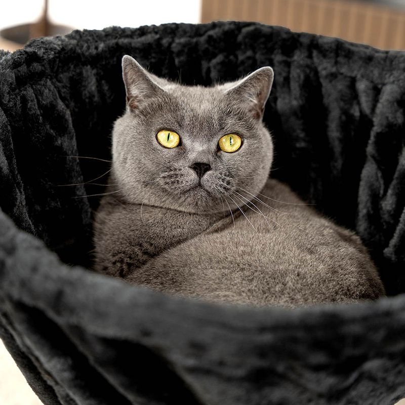 lionto hamac en peluche douce pour arbre à chat avec cadre métallique