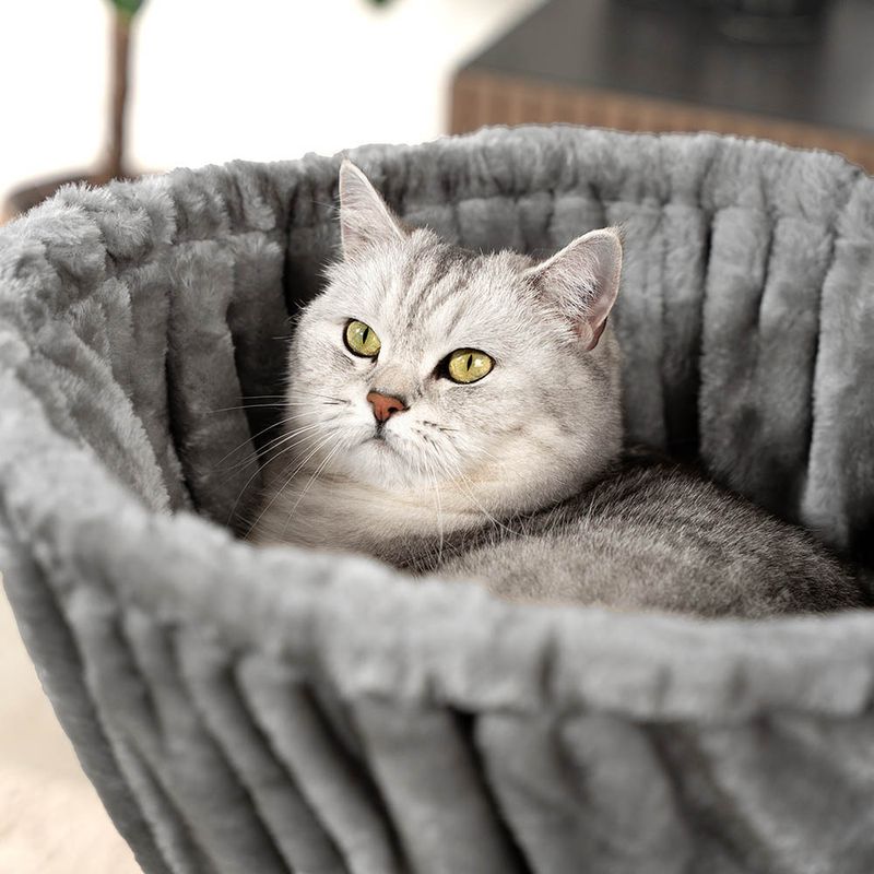 lionto hamac en peluche douce pour arbre à chat avec cadre métallique